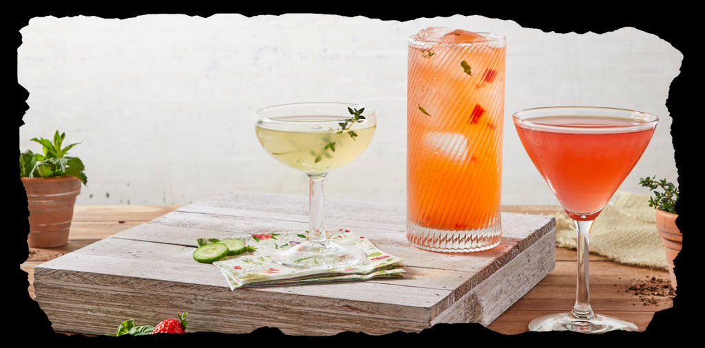 From The Herb Garden