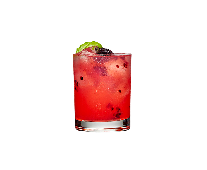 Blackberry Basil Sour