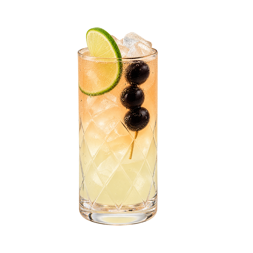 Kombucha Limeade